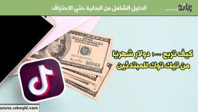كيف تربح 1000 دولار شهريًا من تيك توك للمبتدئين؟ (دليل 2025) - شاهد الأدلة!